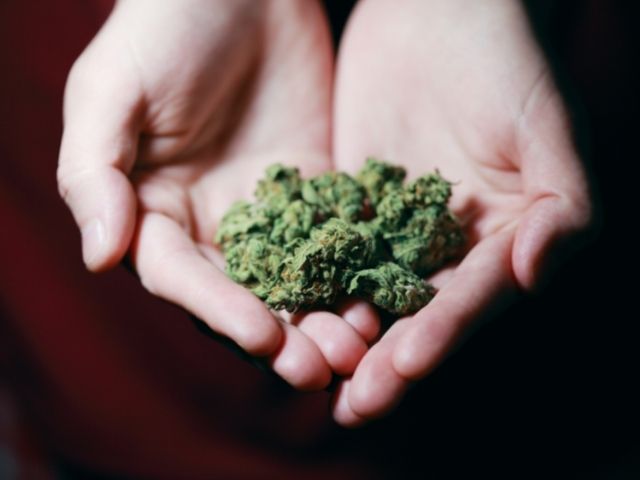 A teenager holding marijuana in their hand.